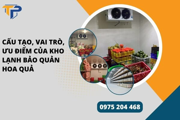 Kho lạnh bảo quản hoa quả